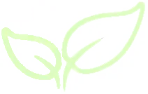 beukenblad