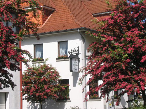 restaurant-in-frankenau restaurant in frankenau