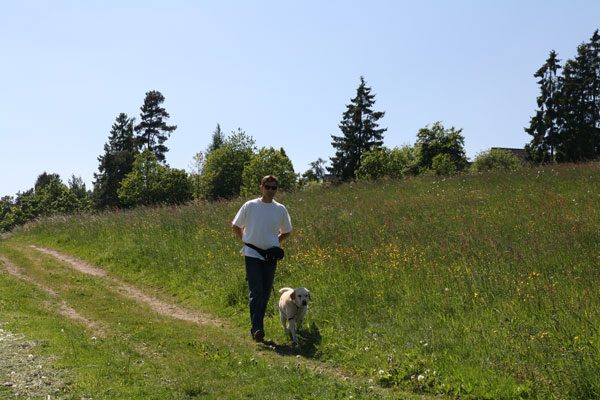 hond is welkom